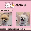 개성있냥 이미지