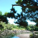 쇠소깍 공영 이미지