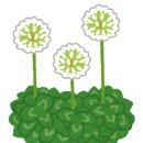 풀내음하우스 이미지