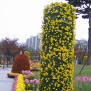 동구꽃백화점 이미지