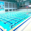 [수원] 스포츠아일랜드 수영 성인강습 월수금 19시~21시...