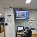 민들레 행정사 이미지