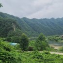 구만리 어룡동 이미지