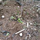 목원농장 이미지