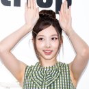 비타민팡팡