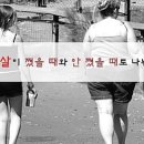 태풍체육관 이미지
