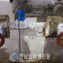 고흥냉동
