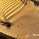 한국의 유네스코 세계유산 이미지