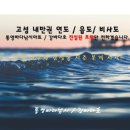 통영바다마트낚시