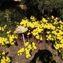 압구정초등학교 이미지