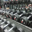 고릴라 멀티짐 이미지