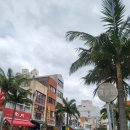 세븐일레븐(공항점) 이미지