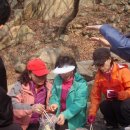 신성초교 이미지