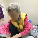 늘봄원예 이미지