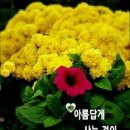 가덕천 네이버블로그