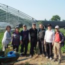 만선농장 이미지