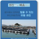 완도참전복 이미지