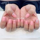 네일꾼