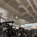 개멋짐 | 구서동 헬스장 푸쉬업 자세 하나로 몸이 달라졌어요. (멋짐 박동훈 팀장님 수업 후기)