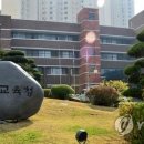 새2 이미지