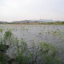 지산낚시터 이미지