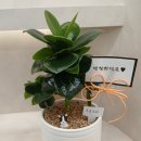 초록나라식물원 이미지