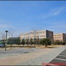 에코르 약국 네이버블로그