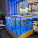 안양일번가빌딩(만안로) 이미지