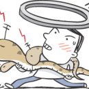 무선건강원