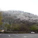 강천산군립공원(강천사) 이미지