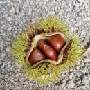 수원산오토캠핑장 이미지