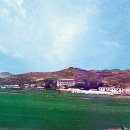 곽산농장 네이버블로그