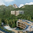 파라스파라 서울 이미지