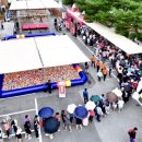 괴산고추축제 이미지