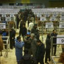 곡성-110 이미지