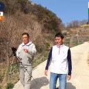 울타리천국 이미지