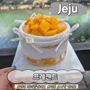 제주서사 | 제주 공항 근처 케이크 맛집 프레젠트 제주 도시락케이크