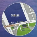 경복작은도서관 | 데이트 아이와함께 갈만한 곳 으로 추천! 새단장한 코엑스 아쿠아리움 주차할인 정보 와 아쿠아리움후기