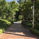 인재개발원 운동장 이미지