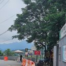 더글루(The Glue) 이미지