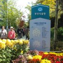 오정식물원 이미지