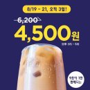 바닐라라이프
