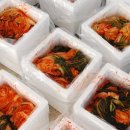 도리돌마을 이미지