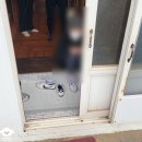 꽃비민박 이미지