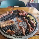 도기캠프 이미지