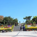 인천으로 온 재비 이미지