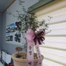 건축사사무소미로