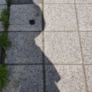 미술심리상담사, 그림으로 마음을 읽고 진심으로 마음을 어루만지는 사람
