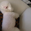 맘보집 | 26살의 재치 보여줘??