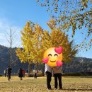 굴암매운탕 | 33주 임산부와 함께한 여주 강천섬 데이트
